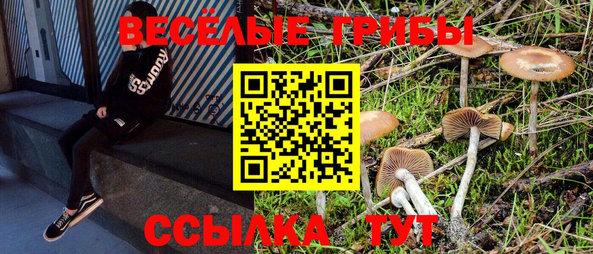 Псилоцибиновые грибы MAGIC MUSHROOMS Жигулёвск