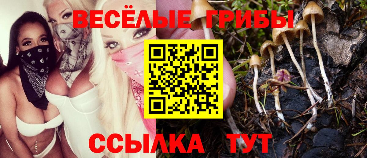 Псилоцибиновые грибы мицелий  Вход с VPN  Жигулёвск 